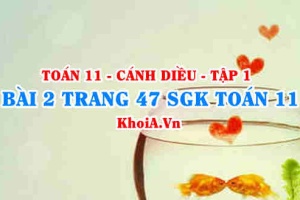 Bài 2 trang 47 SGK Toán 11 tập 1 Cánh Diều
